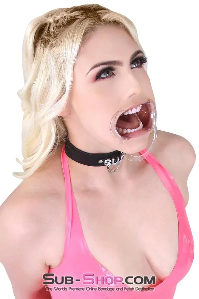 0163AE      <b>BOGO!</b> Spread Open Wide Cheek Spreader Gag