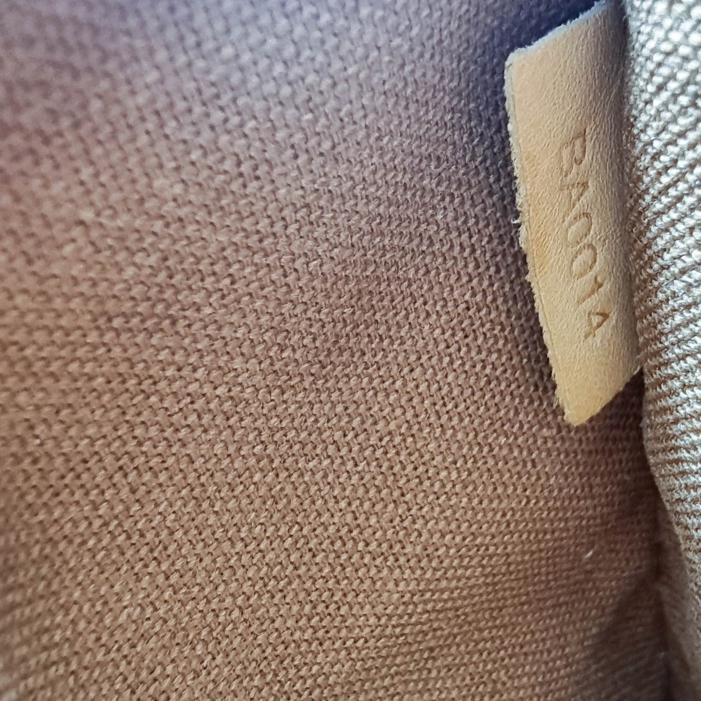 Alma PM Monogram