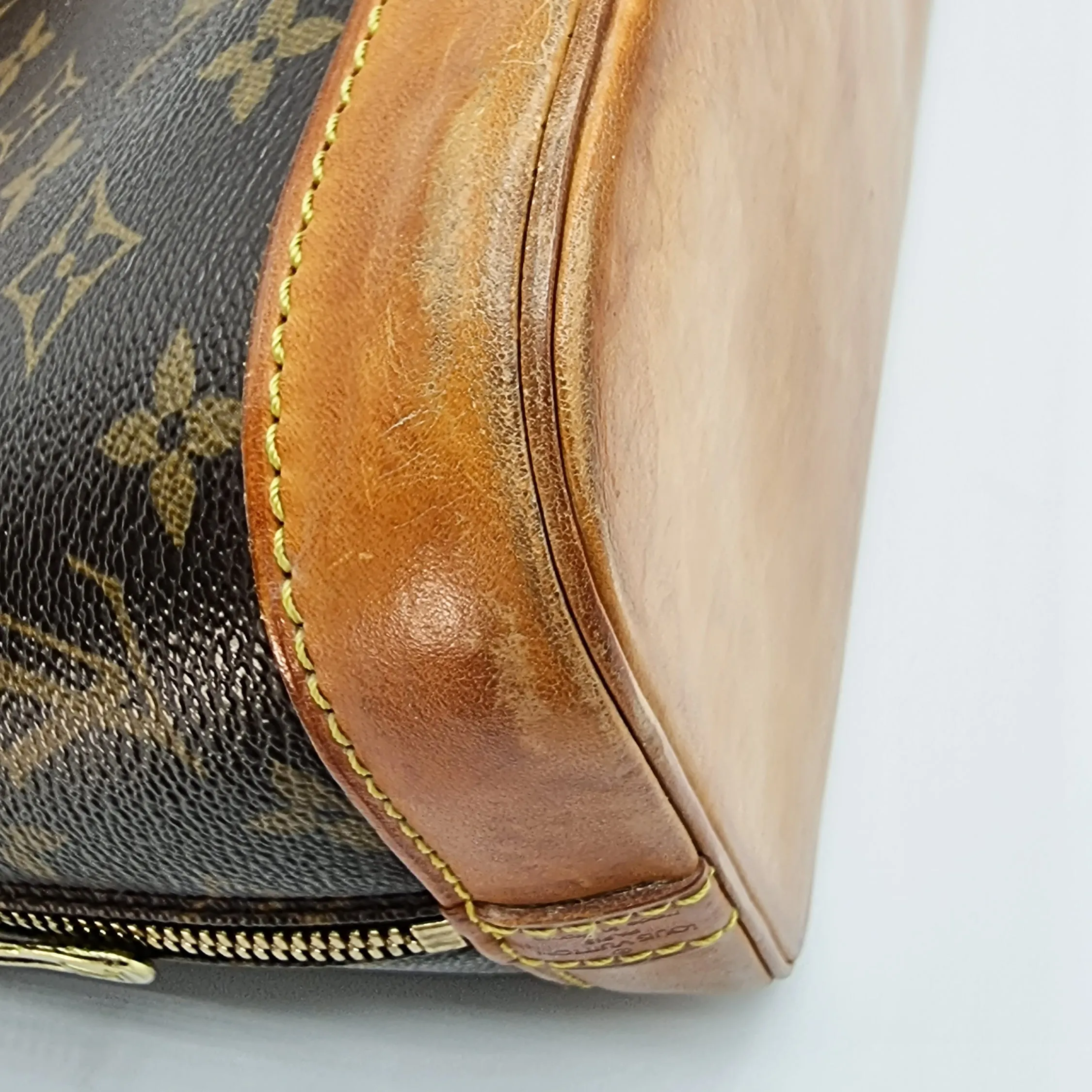 Alma PM Monogram